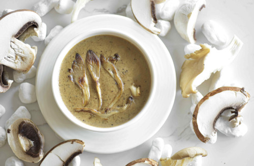 Mushroom Soup